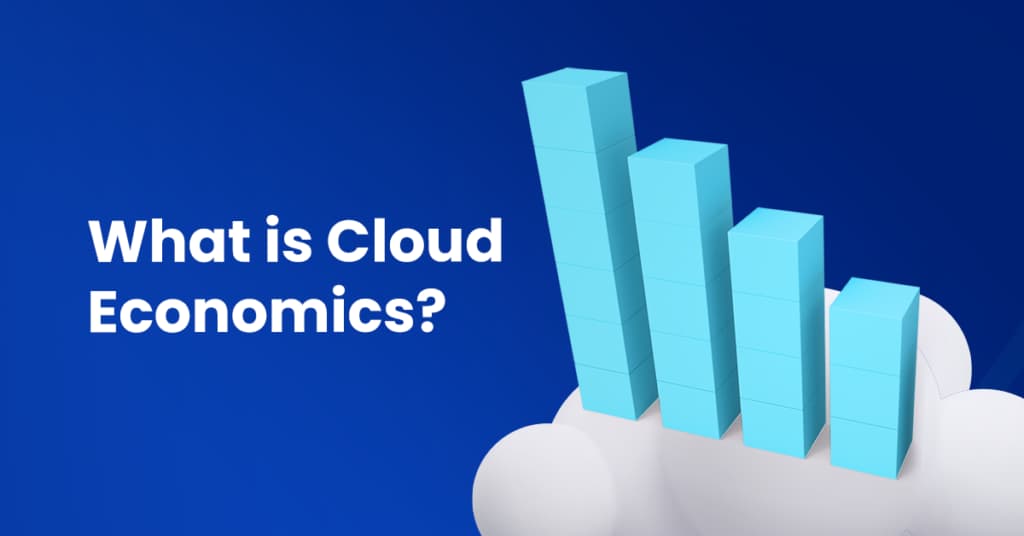Understanding Cloud Economics
