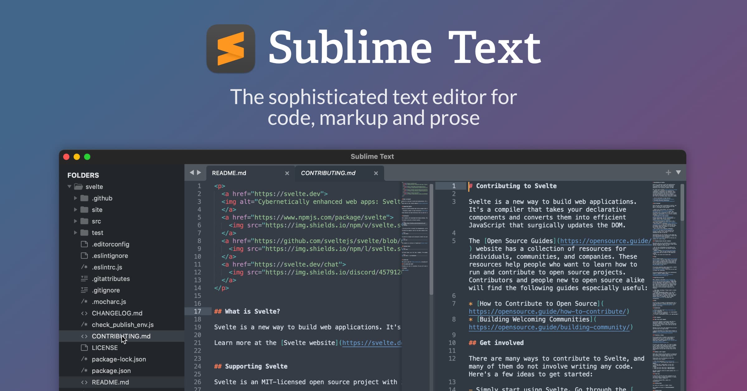 Sublime Text: The Versatile Text Editor for Developers