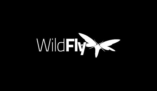 Wildfly (Formerly known as JBoss AS)