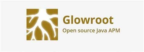 Java Application Performance Management With Glowroot