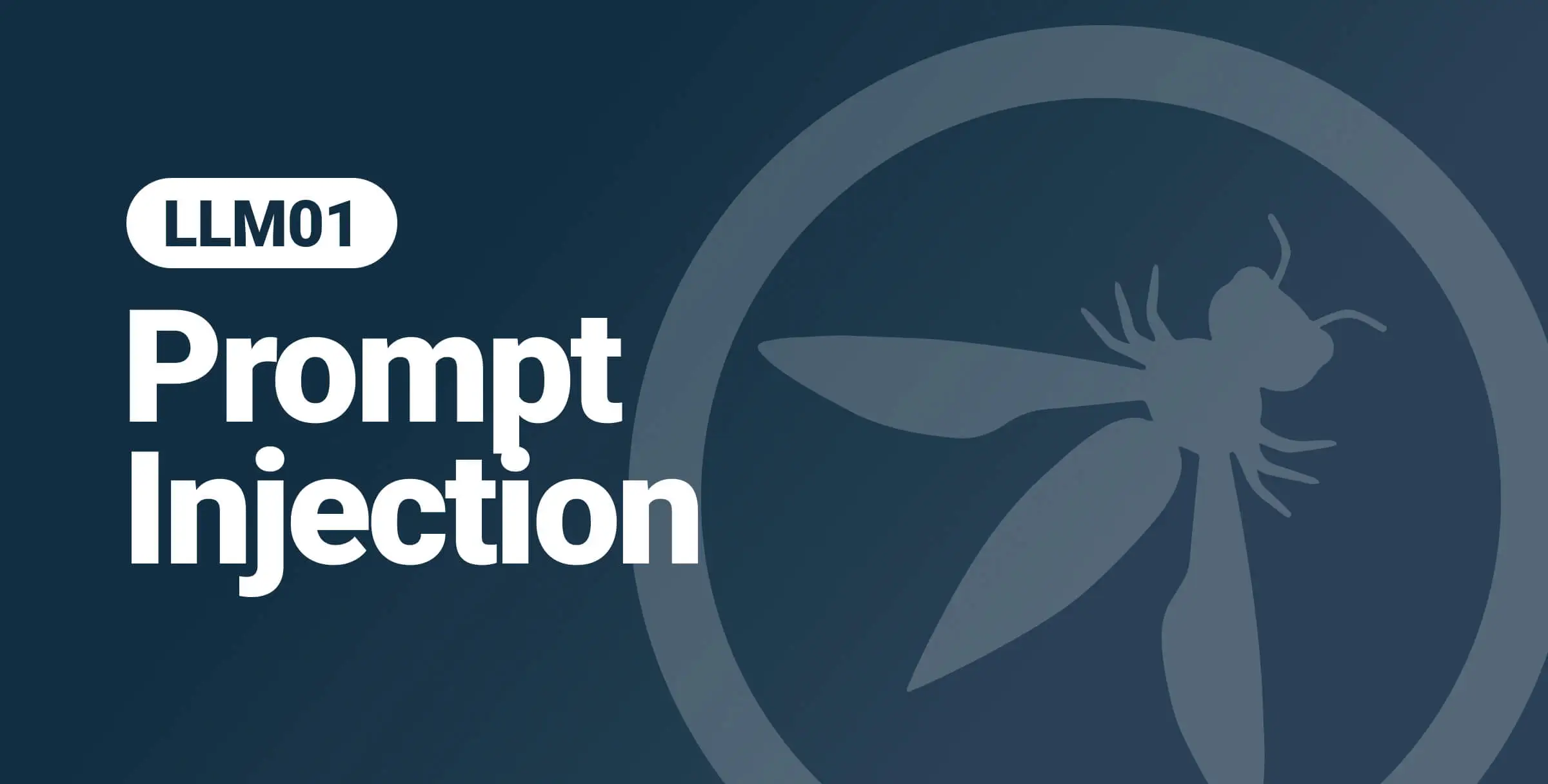 Prompt Injection